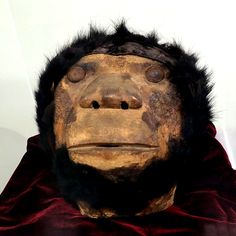 75 years missing mask returns -sasquatch