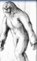 Bigfoot1