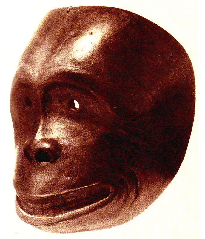 sasquatch bukwas male