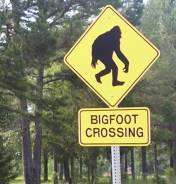 bigfoot-crossing