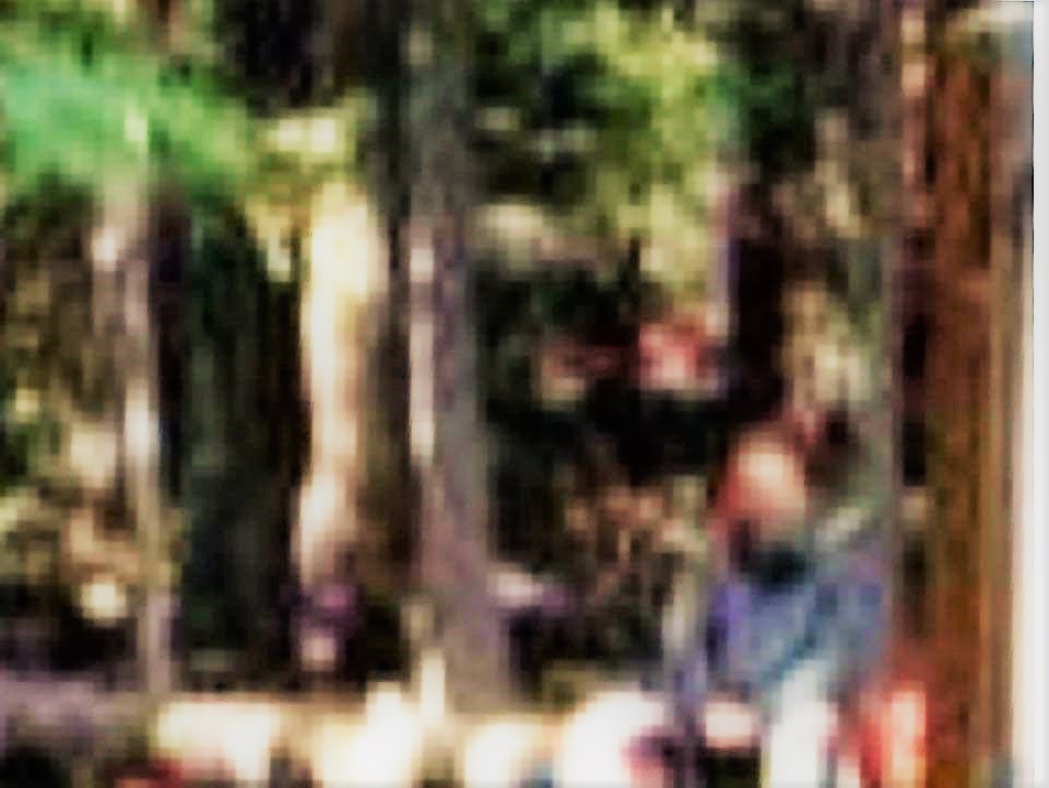 conference 3 sasquatch enhanced napa