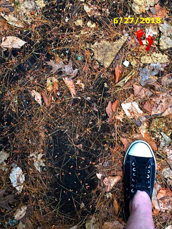 Michelle Brown clan leader