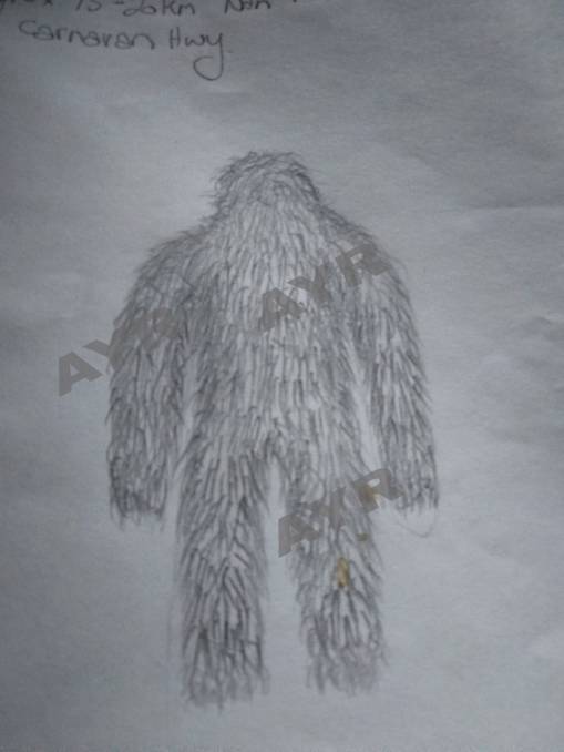 Yowie drawing