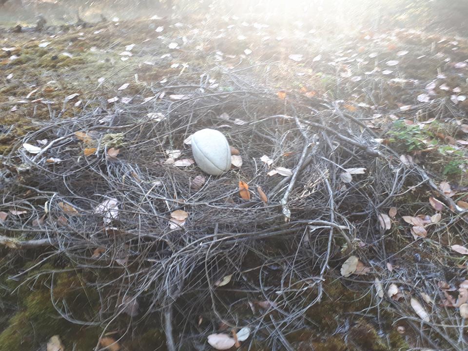 michael lampman van is