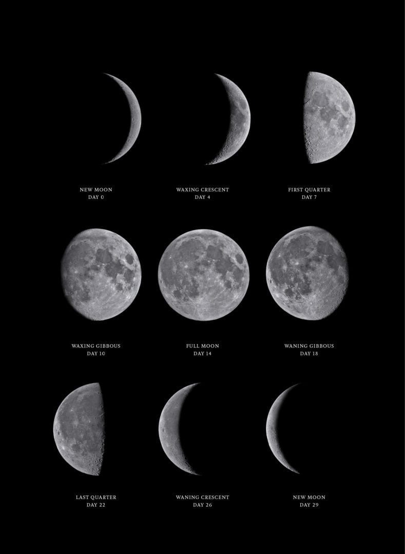 lunar cycle