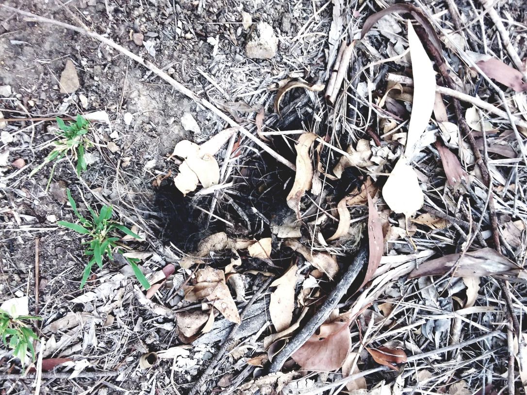 78642627_746292395782625_7456461304899829760_n