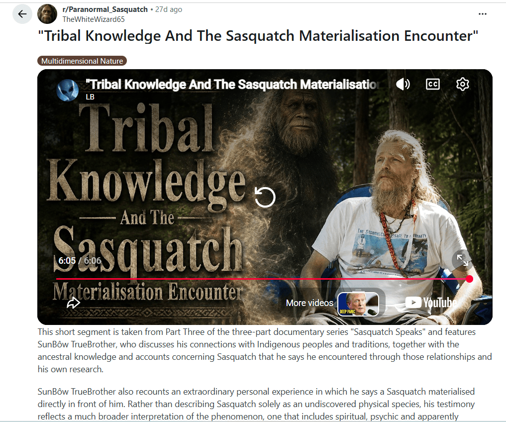 A still from the documentary 'Tribal Knowledge And The Sasquatch Materialisation Encounter', featuring a man with long hair and a beard wearing a t-shirt, standing next to a large Sasquatch figure in a forested setting. The image highlights themes of Indigenous knowledge and personal experiences related to Sasquatch encounters.